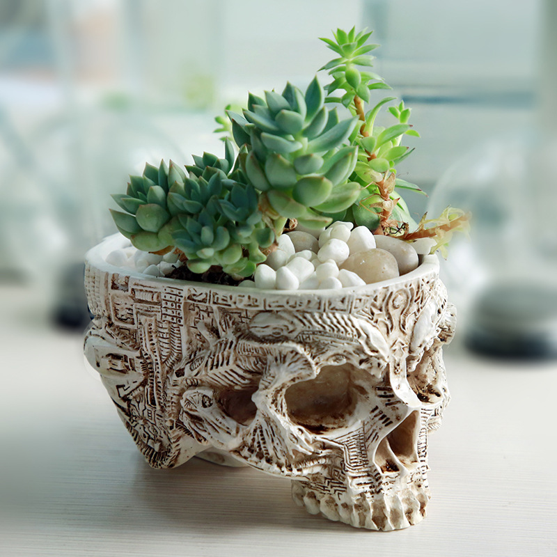 Organizer per contenitori per  - Snake Plant Ceramic recensione e prezzo